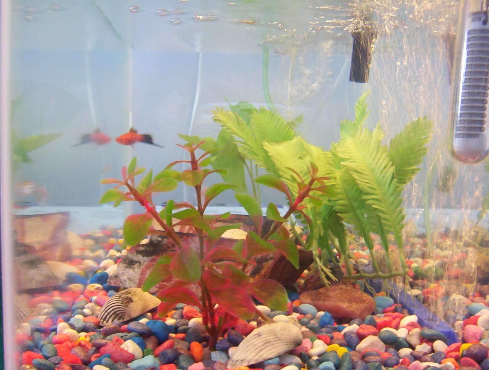 Уход за аквариумом