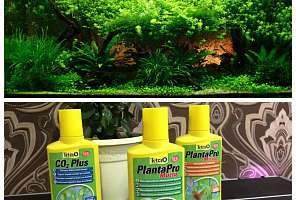 Удобрения для аквариумных растений