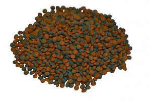 Что нужно знать при выборе корма для рыбок?