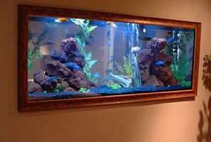 Настенные аквариумы: секреты обустройства "резервуаров-картин"