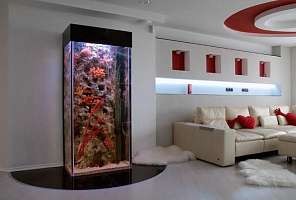 Аквариум — выбор для тех, кто хочет запечатлеть частичку моря у себя дома